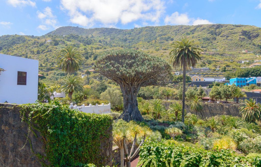 Vista de Icod de los Vinos en Tenerife