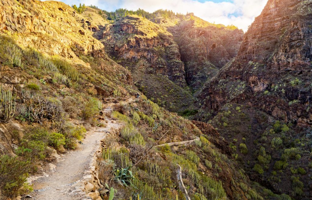 Vista del barranco del infierno en el Sur de Tenerife